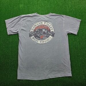 Canaan Valley West Virginia Tshirt Mens Large Gray Blue Bear Graphic Print